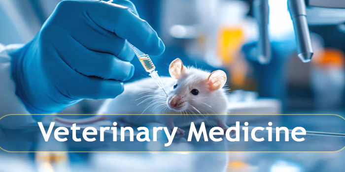 Thumbnail for course Veterinary medicine 