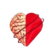 شركة أنعش قلبي للتدريب والتطوير الصحي