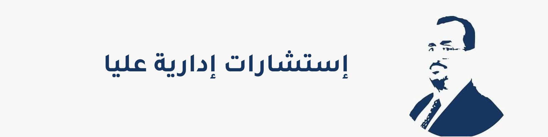 استشارة إدارية عليا