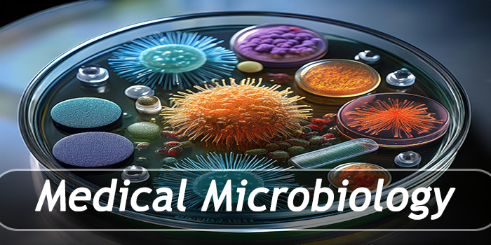 Thumbnail for course  Medical Microbiology