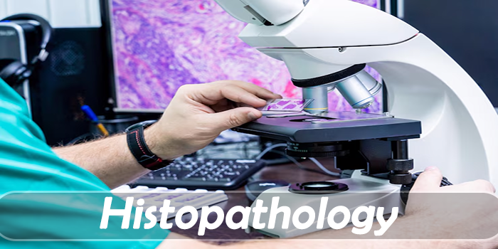 Thumbnail for course Histopathology